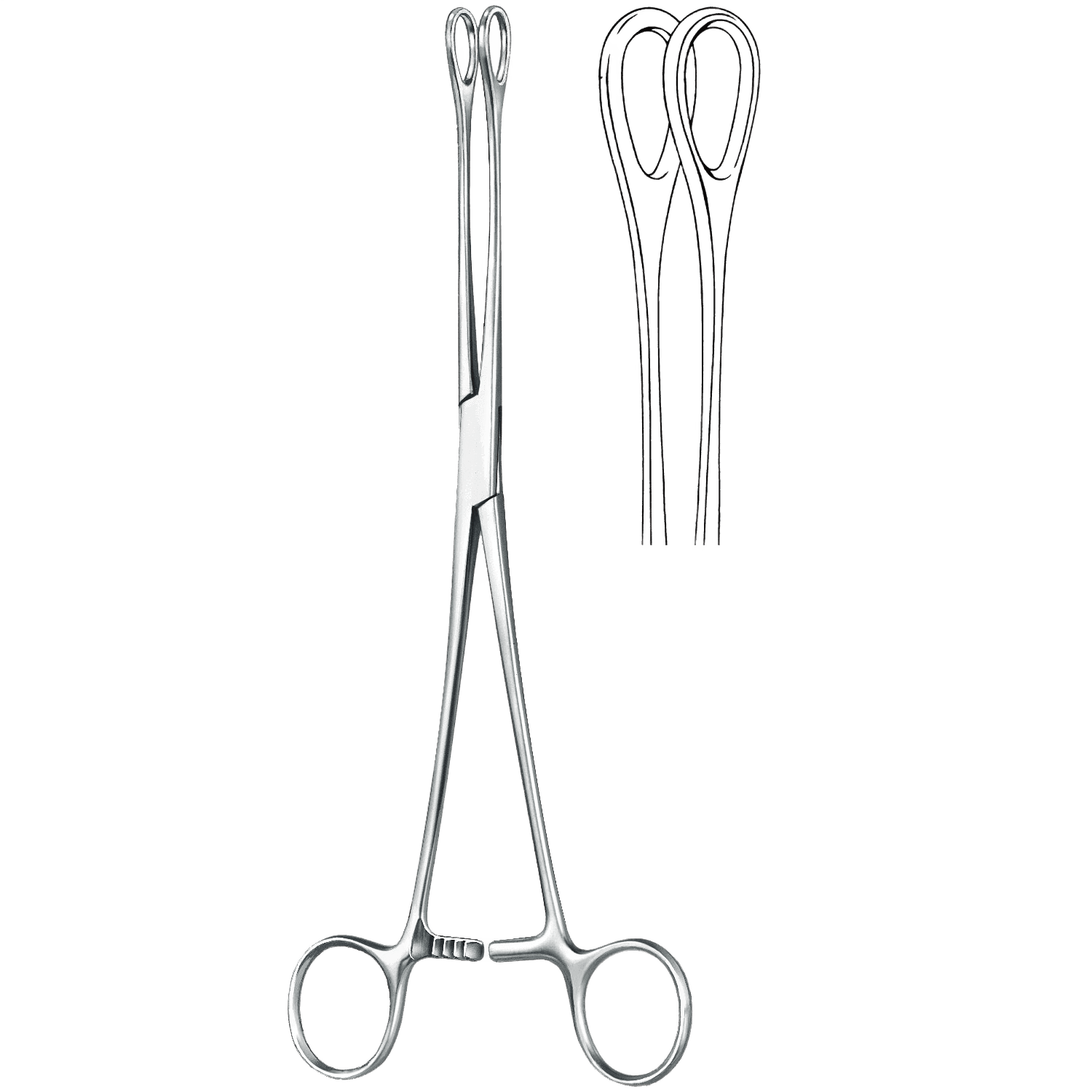 Tampon Pinzette Cotton Swab Pinzette Referenz Produktbild 1 für PreciWerk Katalog