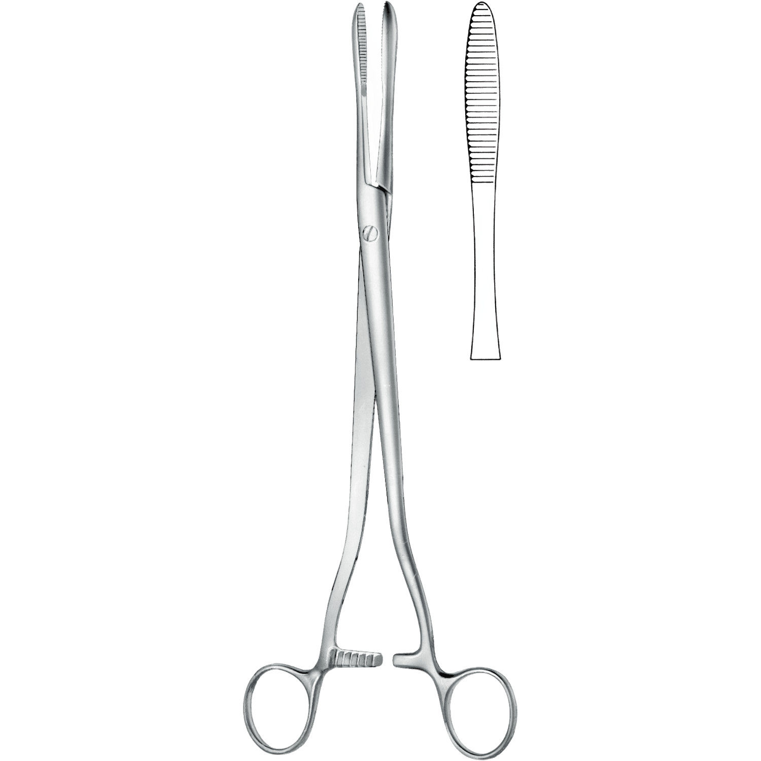 Tampon Pinzette Cotton Swab Pinzette Referenz Produktbild 1 für PreciWerk Katalog