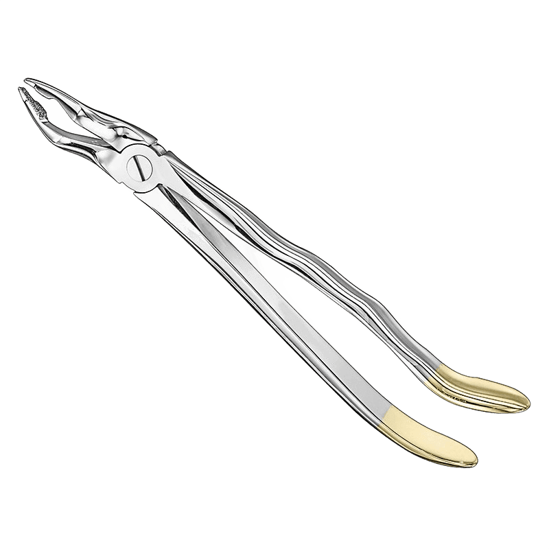 Extraktionszange, anatomisch, Size31, Diamond Produktbild 1 für PreciWerk Katalog