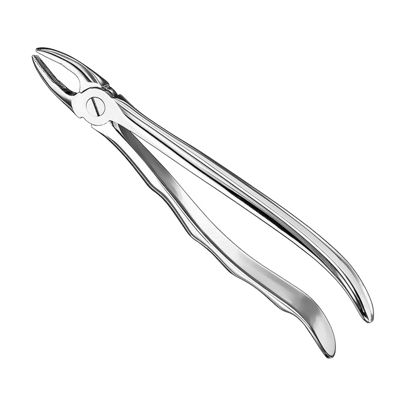 Extraktionszange, anatomisch, Größe 2 Produktbild 1 für PreciWerk Katalog